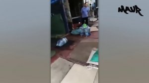 КОГДА ТВОЙ ИНТЕЛЛЕКТ ЗАШКАЛИВАЕТ