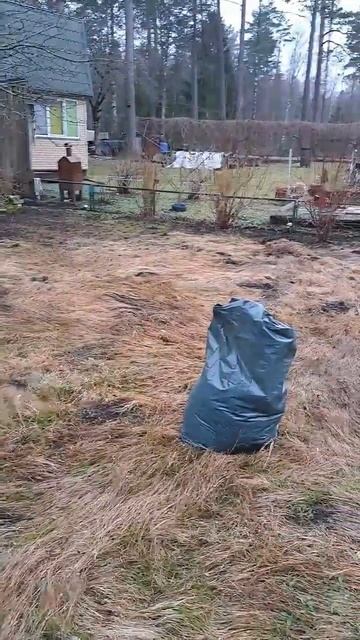 Дача мечты👍работаю на дачном участке💪 #дача #дачаме? смотреть онлайн