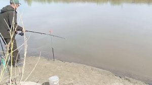 Фидер на Чумыше, начало сезона.