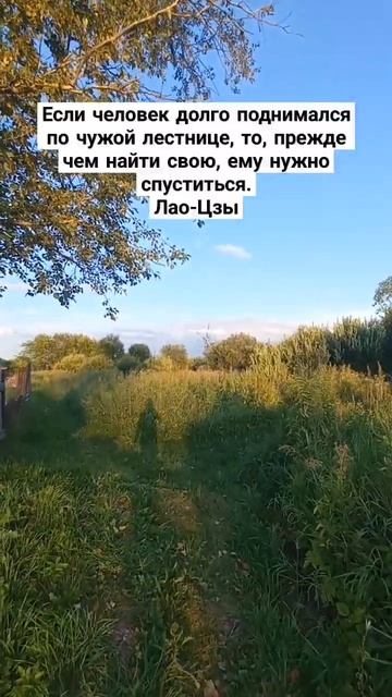 Философские мысли по дороге на огород#мотивация#приро смотреть онлайн