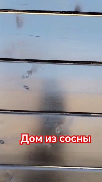 ДОМ ИЗ СОСНЫ #россия #reels #деревня #дрова #дом #деревенск смотреть онлайн