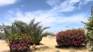 Египет. Гуляем по пляжу. Понравился отель JAZ Makadi Saraya Resor