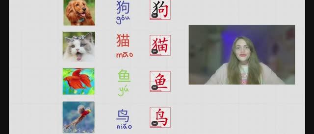 Китайский язык. Урок 6. Питомцы