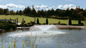 Участок в д. Шелепино