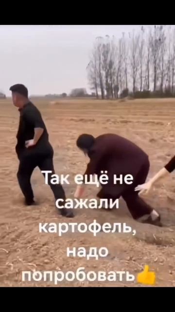 Картошку будем сажать так смотреть онлайн