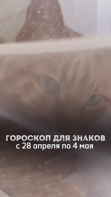 ✨ГОРОСКОП С 28 АПРЕЛЯ ПО 4 МАЯ ДЛЯ ЗНАКОВ ЗОДИАКА✨