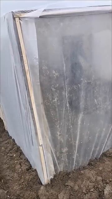 теплица ещё 😊 смотреть онлайн