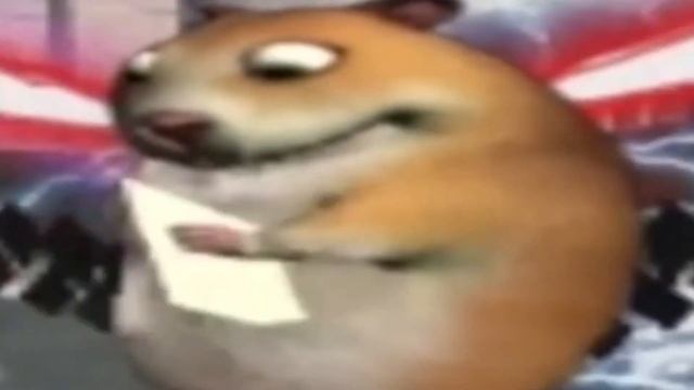 хомяк делает самолёт смотреть онлайн