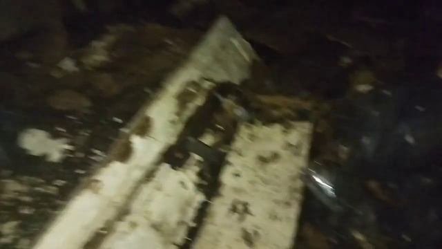 Монстр в подвале следит за нами