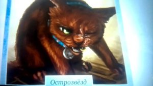 коты воители говно