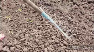 Готовлю место для посева гороха.