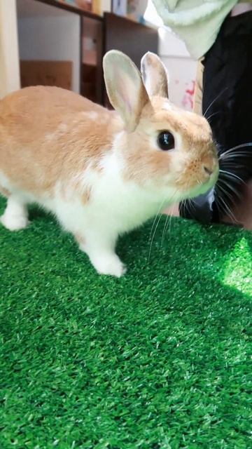 А тебе нужно уважение? 🤔 смотреть онлайн