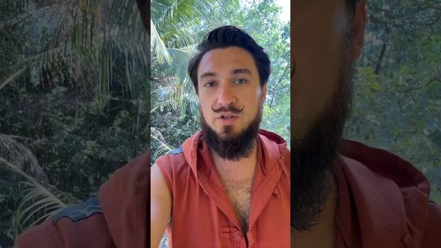 31 января ПРОГНОЗ ! ОСТОРОЖНО!!! 2 лунные сутки! Кир Сабре