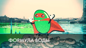 Чистая вода Петербурга: коллекторы, станции аэрации, биотехнологии