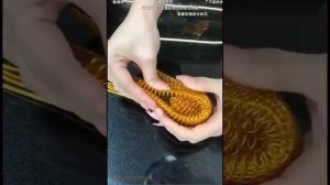 Фигуры из медной проволоки !