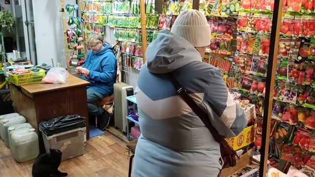 ЗАШЛИ В МАГАЗИН ЗА "ЭУСТОМОЙ".#цветы #семена смотреть онлайн