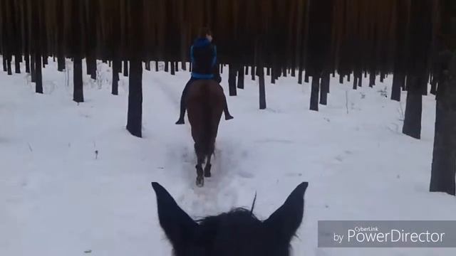 Новая конюшня, прогулка без седла смотреть онлайн