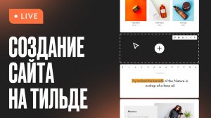 Как создать сайт. Знакомство с Тильдой