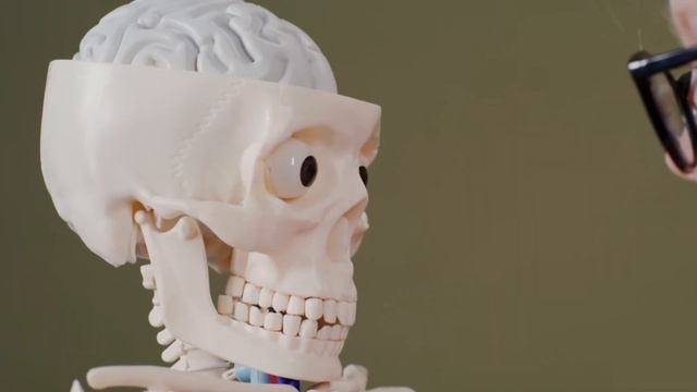 СЕМЕНА ВОЗРОЖДЕНИЯ! Всего одна ложка СЕМЯН УКРОПА и ор смотреть онлайн