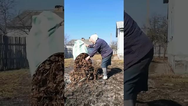 Рабі віламі! Баба Маруся раіць👌#беларусь #садогород #? смотреть онлайн