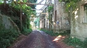 Достопримечательности Махинджаури в Аджарии: тростниковая роща и заброшенная вилла Сибирякова