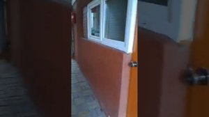 Дагомыс гостевой дом