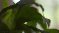 Музыка, которая звучит так, будто она написана специально для вас двоих! - We Made It -- Kirk Osamay