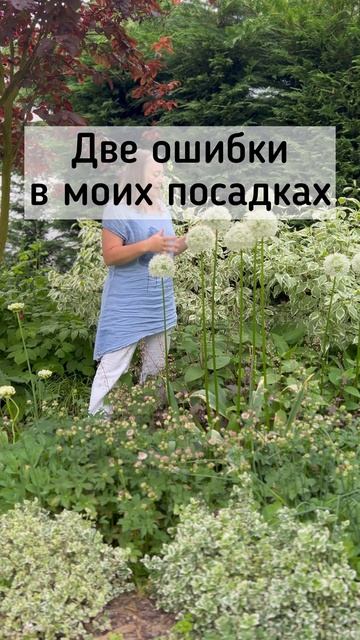 Мои новые косяки! Как важен фон! #shortvideo #сад смотреть онлайн