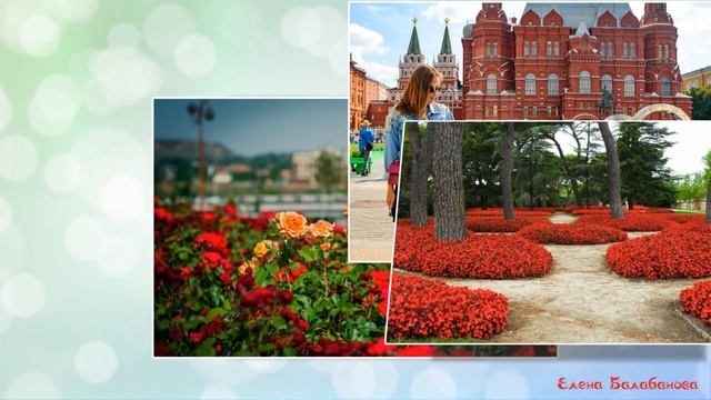 Красивое украшение улиц . Клумбы, рабатки