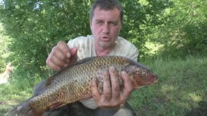 А ЛЕЩИ БОЛЬШЕ ЛОПАТЫ. САЗАНЫ РВУТ ПОВОДКИ. ЛЕЩОВАЯ КАРУСЕЛЬ ..