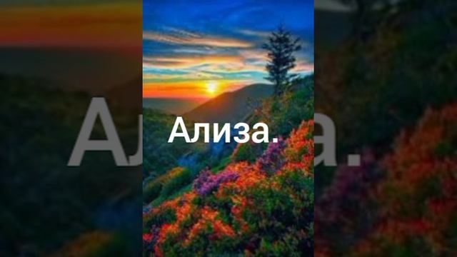 Ализа. Свет.