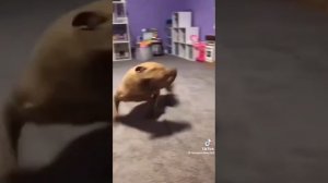 VID-20250507-WA1592