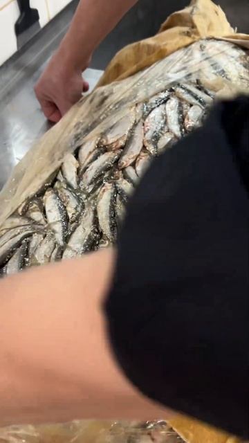 Приехал тогунок слабой соли! Будем вялить вкусную зак? смотреть онлайн