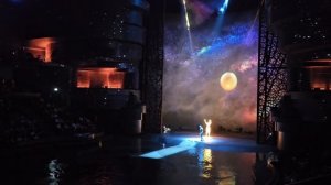 Шоу Ла Перла (La Perle) лучшее водное шоу в Дубае #Дубай #лаперла #laperle