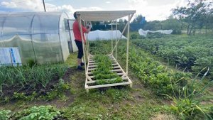 Опора для стручкового гороха своими руками #советы#garde