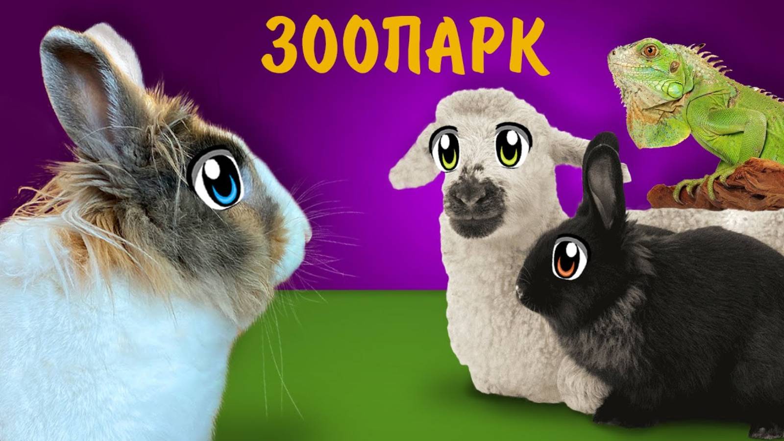 24 ЧАСА в ЗООПАРКЕ! КОРМИМ СМЕШНЫХ ЖИВОТНЫХ! НАСТОЯЩАЯ ЕДА против СУХОЙ ЧЕЛЛЕНДЖ А ну-ка давай-ка