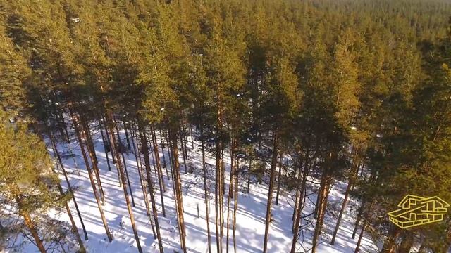 Velesa Морской бриз смотреть онлайн