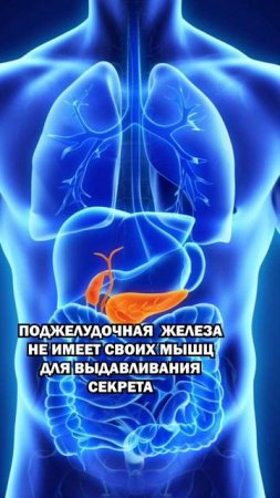 Вредная поза при проблемах с печенью