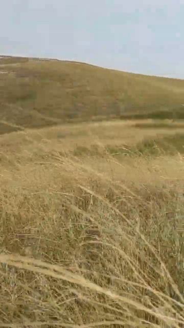 Сергиевский район смотреть онлайн