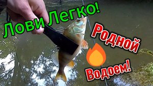 Ловля на мормышинг! Родной водоем!