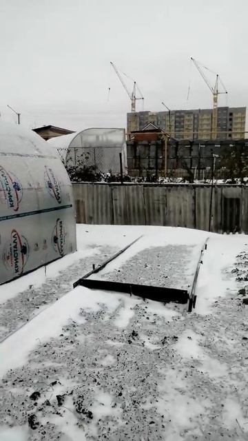 Чудо теплица смотреть онлайн