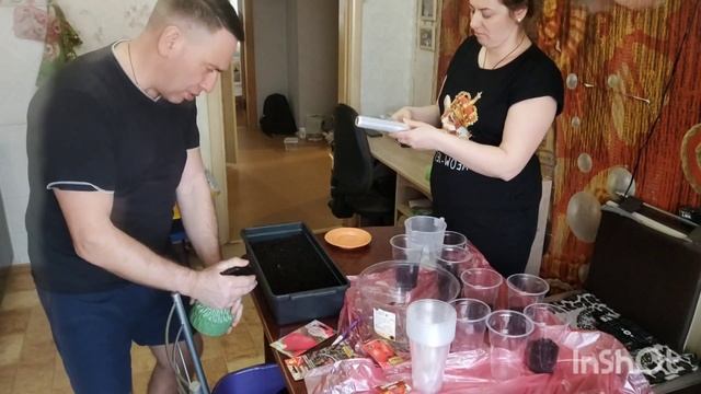 Купили заброшенную дачу/Первый раз сеем томаты/Отвеча
