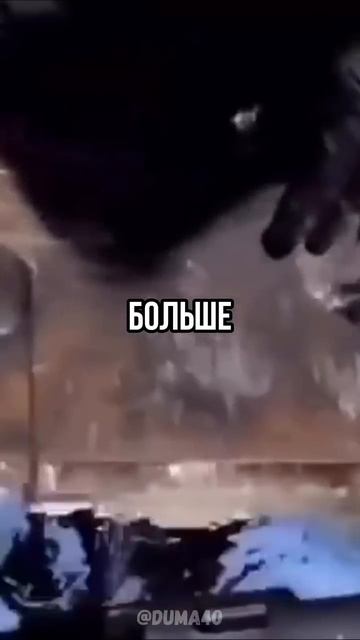 Наковальня не тонет в чане с ртутью? / #shorts #факты #наука