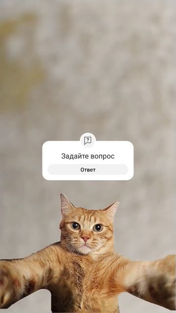 5 августа 2024 г. смотреть онлайн