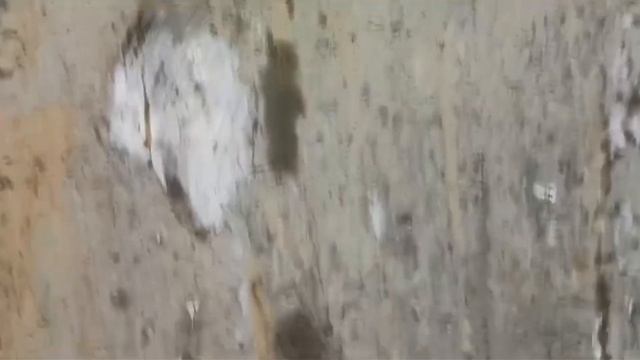 д. Ведищиво. Два кольца в жижы. Вот так рукажопые углуб? смотреть онлайн