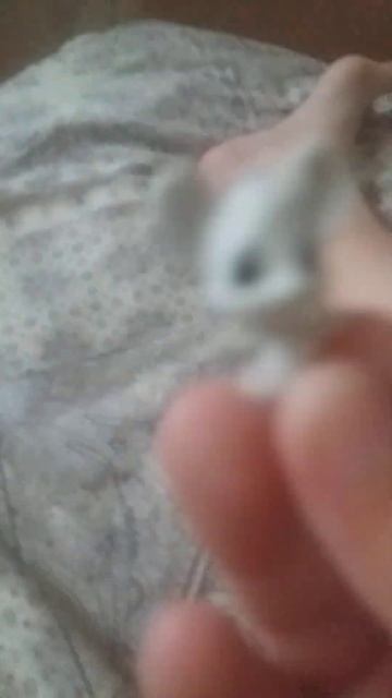 мышеловка🐭11 серия🐭 смотреть онлайн