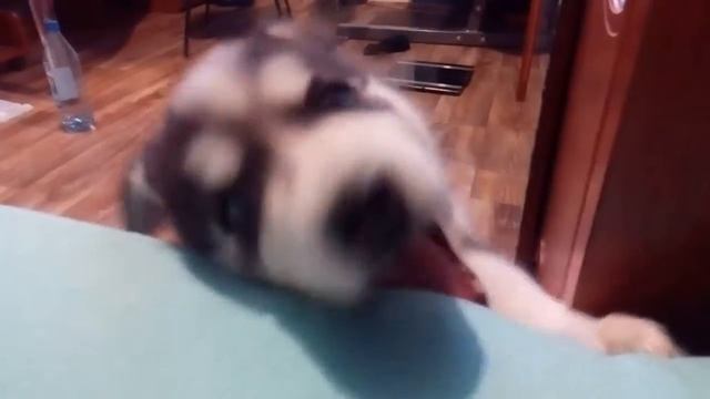 нудит смотреть онлайн