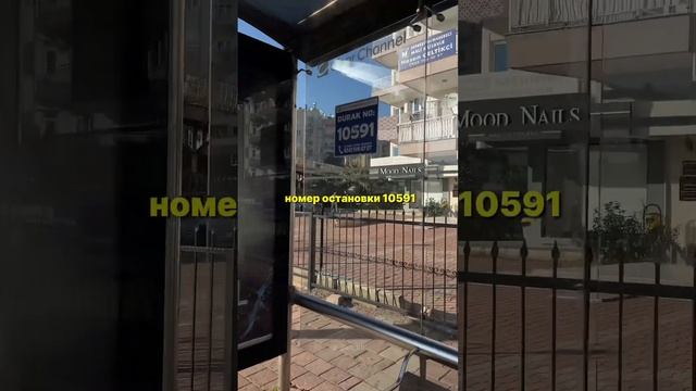 🇹🇷 Как пользоваться общественным транспортом в Ант?