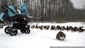 Зона отдых «Пруды».