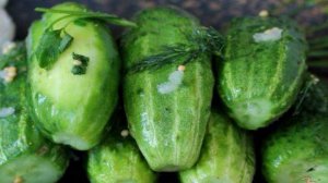 Малосольные огурцы в пакете